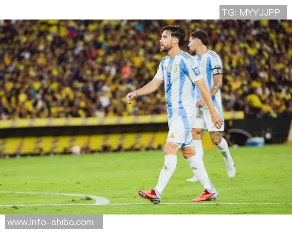 法甲本轮最佳阵容揭晓杜埃与塔利亚菲科领衔桑巴入选